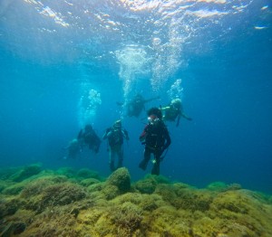 GOPR0695