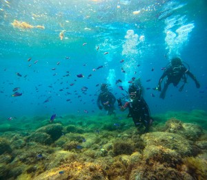 GOPR0700