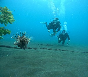 DCIM100GOPROGOPR4966.JPG