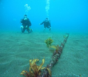 DCIM100GOPROGOPR4968.JPG