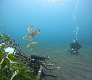 DCIM100GOPROGOPR5014.JPG