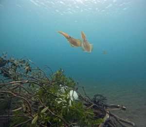 DCIM100GOPROGOPR5040.JPG