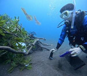 DCIM100GOPROGOPR5041.JPG