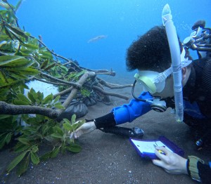 DCIM100GOPROGOPR5042.JPG