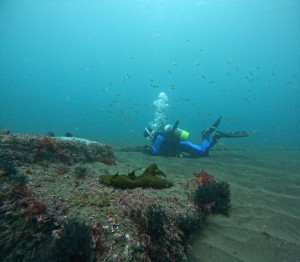DCIM100GOPROGOPR5047.JPG