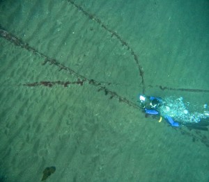 DCIM100GOPROGOPR5080.JPG
