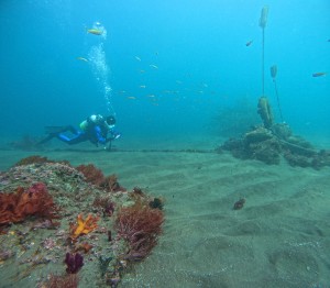 DCIM100GOPROGOPR5093.JPG