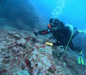 DCIM100GOPROGOPR5246.JPG