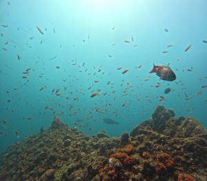 DCIM100GOPROGOPR5261.JPG