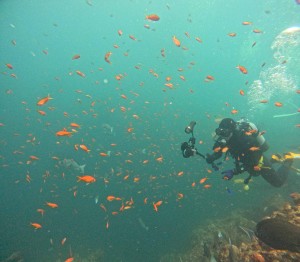 DCIM100GOPROGOPR5268.JPG