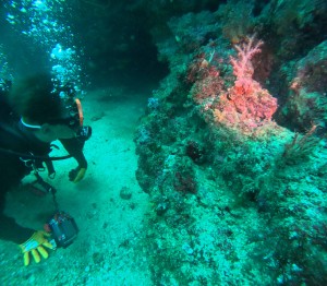 DCIM100GOPROGOPR5278.JPG