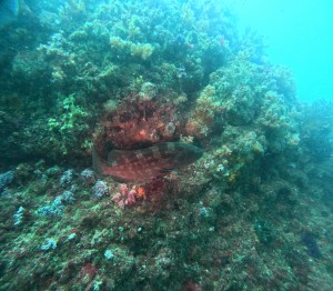 DCIM100GOPROGOPR5286.JPG