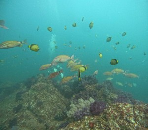 DCIM100GOPROGOPR5303.JPG
