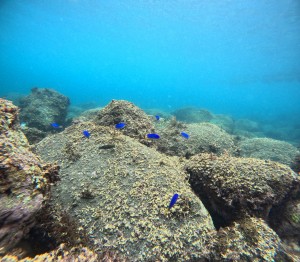 DCIM100GOPROGOPR5311.JPG