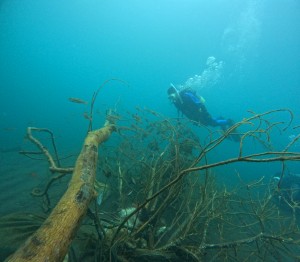 DCIM100GOPROGOPR5321.JPG