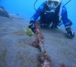 DCIM100GOPROGOPR5328.JPG