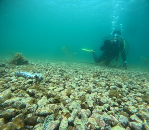 DCIM100GOPROGOPR5743.JPG