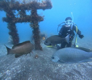DCIM100GOPROGOPR5757.JPG