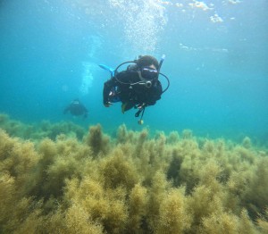 DCIM100GOPROGOPR5885.JPG