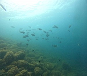 DCIM100GOPROGOPR5890.JPG