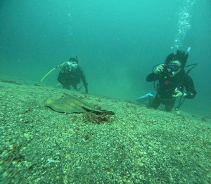 DCIM100GOPROGOPR5912.JPG