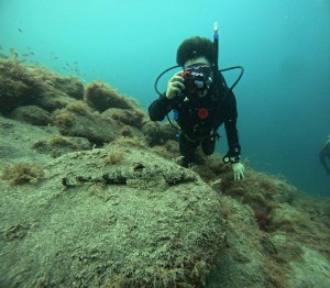 DCIM100GOPROGOPR5931.JPG
