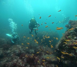DCIM100GOPROGOPR6275.JPG