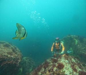 DCIM100GOPROGOPR6282.JPG