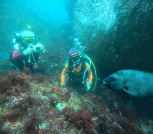 DCIM100GOPROGOPR6292.JPG