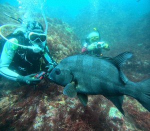 DCIM100GOPROGOPR6299.JPG