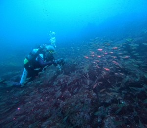 DCIM100GOPROGOPR6332.JPG