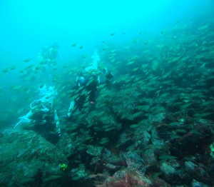 DCIM100GOPROGOPR6333.JPG