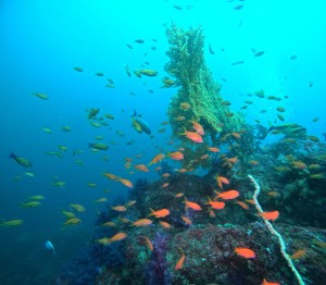 DCIM100GOPROGOPR6343.JPG