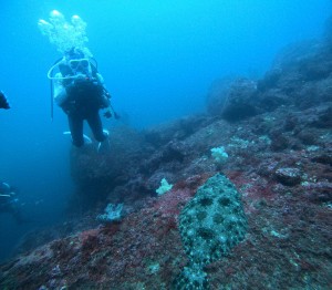 DCIM100GOPROGOPR6353.JPG