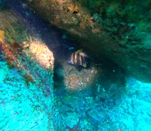DCIM100GOPROGOPR6370.JPG