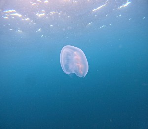 DCIM100GOPROGOPR9800.JPG