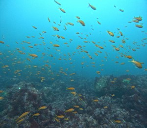 DCIM100GOPROGOPR9808.JPG