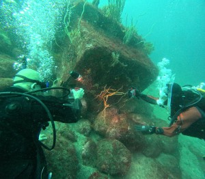 DCIM100GOPROGOPR9828.JPG