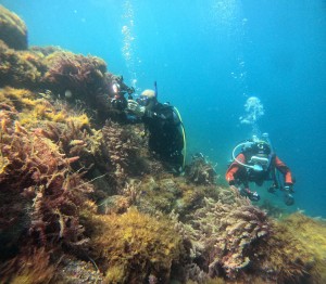 DCIM100GOPROGOPR9846.JPG