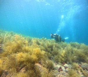 DCIM100GOPROGOPR9851.JPG
