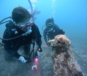 DCIM100GOPROGOPR9889.JPG