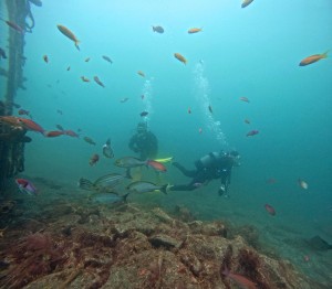 DCIM100GOPROGOPR9895.JPG
