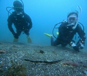 DCIM100GOPROGOPR9913.JPG