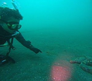 DCIM100GOPROGOPR9920.JPG