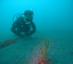 DCIM100GOPROGOPR9922.JPG