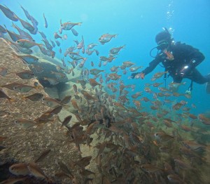 DCIM100GOPROGOPR9932.JPG