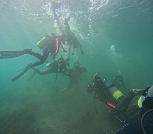 DCIM100GOPROGOPR5233.JPG