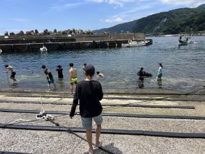 IMG_8184