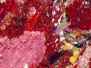 P6076916