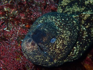 P6080011